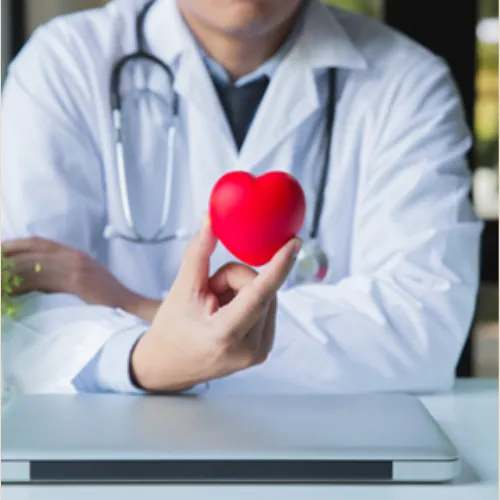 Gastos Médicos Mayores